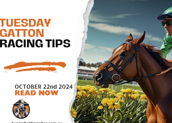 Gatton Racing Tips 22 October 2024